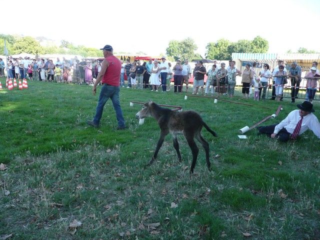 dimanche (334).jpg